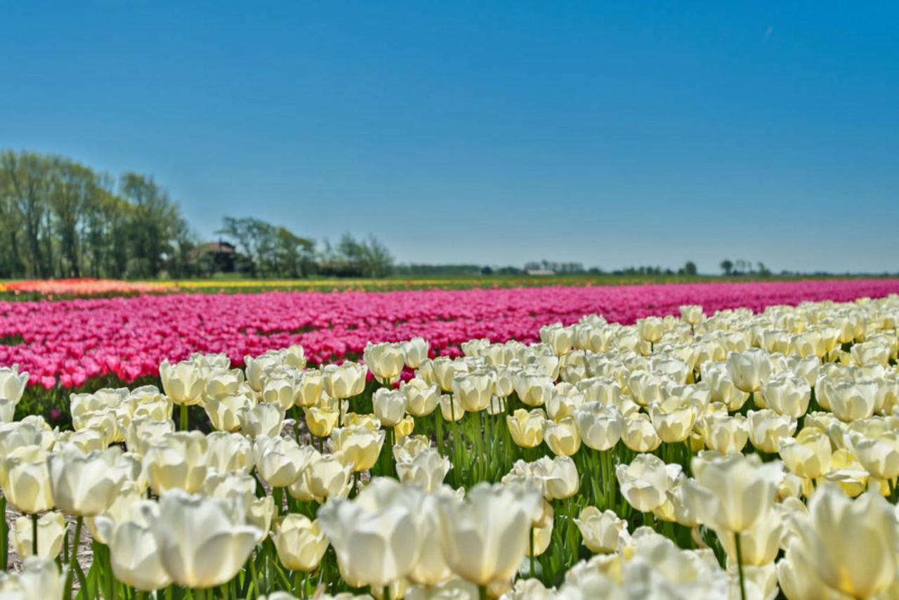 Villa Prinsenhof # Vijfentwintig Bergen Dış mekan fotoğraf